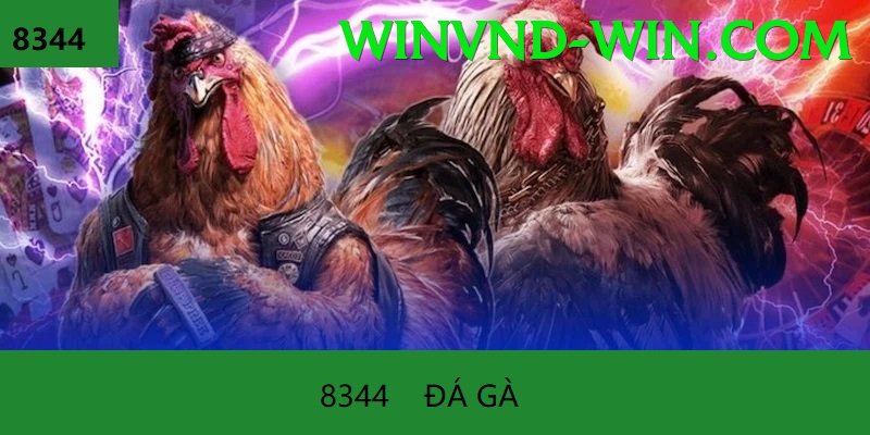 Cách Đọc Kèo Đá Gà